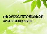 skb文件怎么打开介绍(skb文件怎么打开详细情况如何)