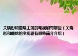 关晓彤和鹿晗主演的电视剧有哪些（关晓彤和鹿晗的电视剧有哪些简介介绍）