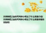 天师钟馗之血色鸳鸯林小蝶出了什么谜语介绍(天师钟馗之血色鸳鸯林小蝶出了什么谜语详细情况如何)