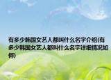 有多少韩国女艺人都叫什么名字介绍(有多少韩国女艺人都叫什么名字详细情况如何)
