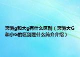 奔驰g和大g有什么区别（奔驰大G和小G的区别是什么简介介绍）