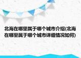 北海在哪里属于哪个城市介绍(北海在哪里属于哪个城市详细情况如何)