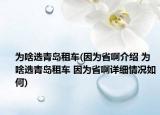 为啥选青岛租车(因为省啊介绍 为啥选青岛租车 因为省啊详细情况如何)