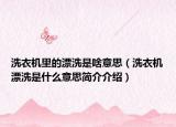 洗衣机里的漂洗是啥意思（洗衣机漂洗是什么意思简介介绍）
