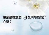 爆顶是啥意思（什么叫爆顶简介介绍）