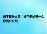 娘子是什么歌（娘子啊哈是什么歌简介介绍）