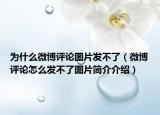 为什么微博评论图片发不了（微博评论怎么发不了图片简介介绍）