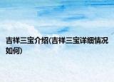 吉祥三宝介绍(吉祥三宝详细情况如何)
