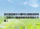 支付宝花呗分12期可以提前还款吗（花呗分12期能提前还款吗简介介绍）