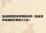 吉j是哪里的车牌号码车牌（吉j是吉林省哪的车号简介介绍）
