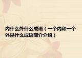 内什么外什么成语（一个内和一个外是什么成语简介介绍）