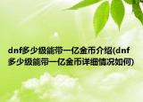 dnf多少级能带一亿金币介绍(dnf多少级能带一亿金币详细情况如何)