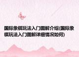 国际象棋玩法入门图解介绍(国际象棋玩法入门图解详细情况如何)