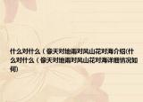 什么对什么（像天对地雨对风山花对海介绍(什么对什么（像天对地雨对风山花对海详细情况如何)