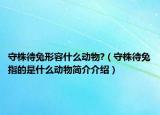 守株待兔形容什么动物?（守株待兔指的是什么动物简介介绍）