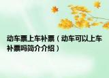 动车票上车补票（动车可以上车补票吗简介介绍）