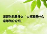 番薯俗称是什么（大番薯是什么意思简介介绍）