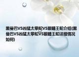 黑曼巴VS凶猛太攀蛇VS眼睛王蛇介绍(黑曼巴VS凶猛太攀蛇VS眼睛王蛇详细情况如何)