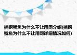 捕捞鱿鱼为什么不让用网介绍(捕捞鱿鱼为什么不让用网详细情况如何)