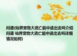 问道(仙界宠物大逃亡能中途出去吗介绍 问道 仙界宠物大逃亡能中途出去吗详细情况如何)
