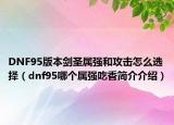 DNF95版本剑圣属强和攻击怎么选择（dnf95哪个属强吃香简介介绍）