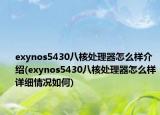 exynos5430八核处理器怎么样介绍(exynos5430八核处理器怎么样详细情况如何)