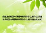 贵阳正式取消车牌摇号政策你怎么看介绍(贵阳正式取消车牌摇号政策你怎么看详细情况如何)