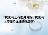 QQ如何上传图片介绍(QQ如何上传图片详细情况如何)