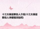 十三太保是那些人介绍(十三太保是那些人详细情况如何)