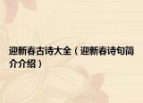 迎新春古诗大全（迎新春诗句简介介绍）