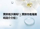 黄骅有沙滩吗?（黄骅市有海滩吗简介介绍）
