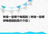 林佳一是哪个电视剧（林佳一是哪部电视剧的简介介绍）