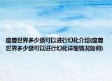 魔兽世界多少级可以进行幻化介绍(魔兽世界多少级可以进行幻化详细情况如何)