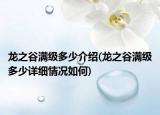 龙之谷满级多少介绍(龙之谷满级多少详细情况如何)
