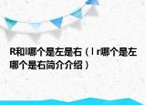 R和l哪个是左是右（l r哪个是左哪个是右简介介绍）