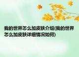 我的世界怎么加皮肤介绍(我的世界怎么加皮肤详细情况如何)