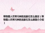 怪物猎人世界污秽的龙脉石怎么鉴定（怪物猎人世界污秽的龙脉石怎么刷简介介绍）