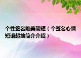 个性签名唯美简短（个签名心情短语超拽简介介绍）