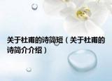 关于杜甫的诗简短（关于杜甫的诗简介介绍）