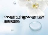 SNS是什么介绍(SNS是什么详细情况如何)