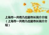 上海市一共有几位副市长简介介绍（上海市一共有几位副市长简介介绍）