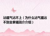 沾福气沾不上（为什么沾气福沾不到全家福简介介绍）