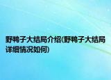 野鸭子大结局介绍(野鸭子大结局详细情况如何)
