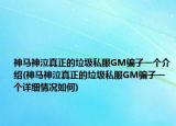 神马神泣真正的垃圾私服GM骗子一个介绍(神马神泣真正的垃圾私服GM骗子一个详细情况如何)
