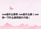 cue是什么意思 cue是什么梗（cue你一下什么意思简介介绍）