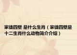 家徒四壁 是什么生肖（家徒四壁是十二生肖什么动物简介介绍）