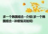 求一个韩国组合~介绍(求一个韩国组合~详细情况如何)