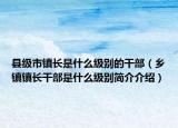 县级市镇长是什么级别的干部（乡镇镇长干部是什么级别简介介绍）