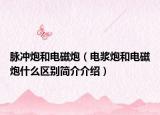 脉冲炮和电磁炮（电浆炮和电磁炮什么区别简介介绍）