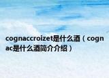 cognaccroizet是什么酒（cognac是什么酒简介介绍）